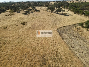 Quinta T3 para Venda em Santa Cruz