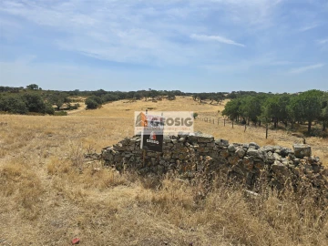 Quinta T3 para Venda em Santa Cruz