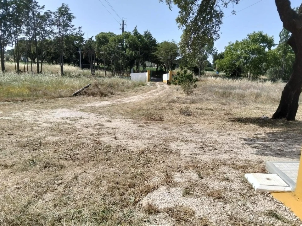 Moradia T1 para Arrendamento em Asseiceira Foto 13