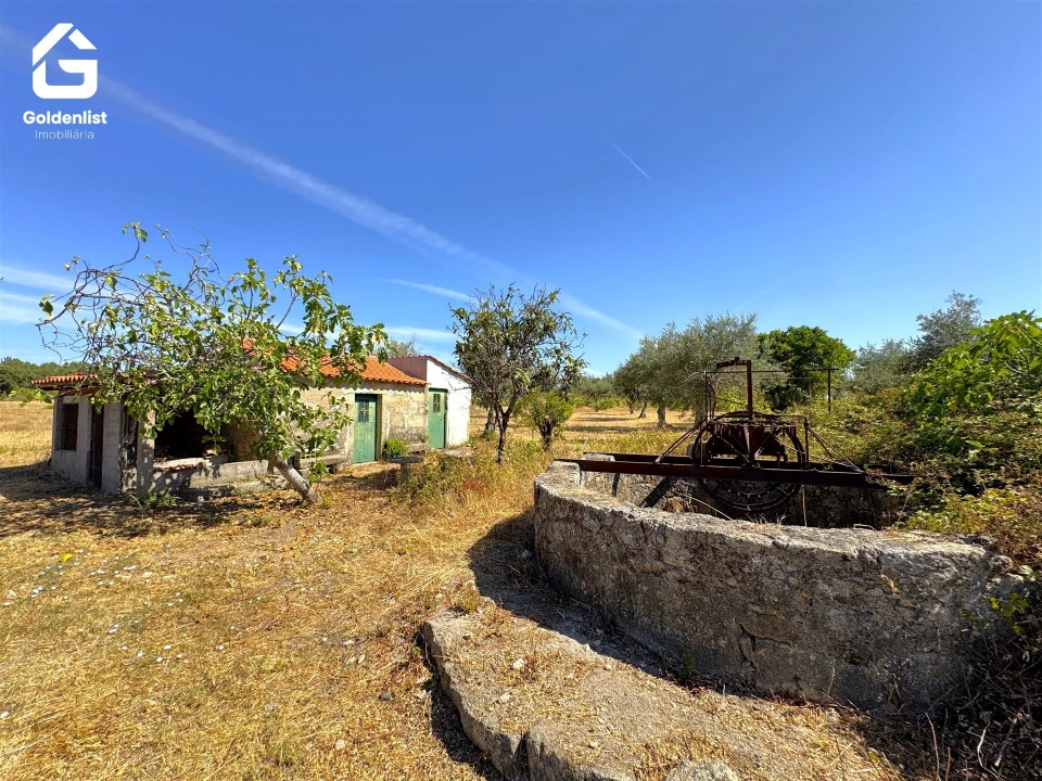 Quinta T0 para Venda em Lardosa Foto 33