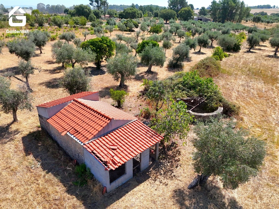 Quinta T0 para Venda em Lardosa Foto 10
