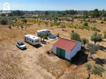 Quinta T0 para Venda em Lardosa