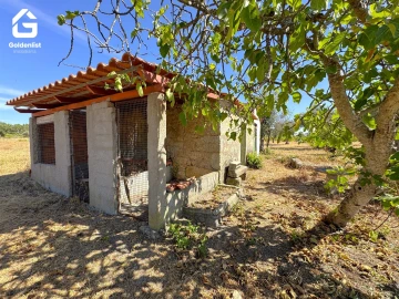 Quinta T0 para Venda em Lardosa