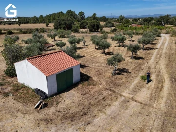 Quinta T0 para Venda em Lardosa