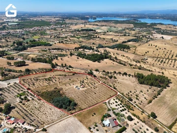 Quinta T0 para Venda em Lardosa