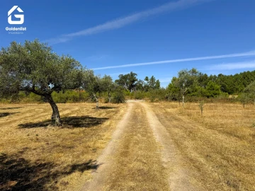 Quinta T0 para Venda em Lardosa