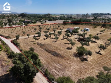Quinta T0 para Venda em Lardosa