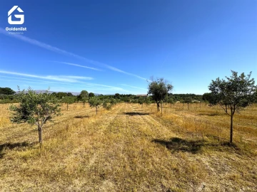 Quinta T0 para Venda em Lardosa