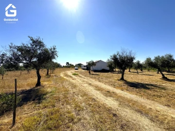 Quinta T0 para Venda em Lardosa