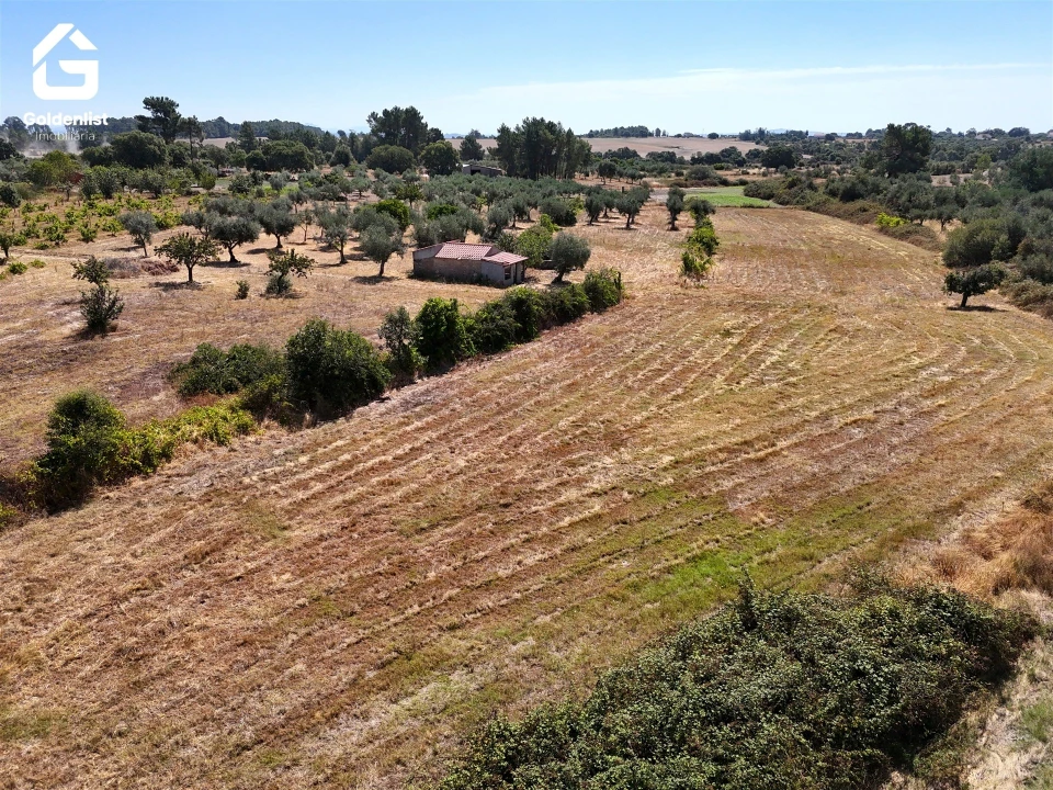Quinta T0 para Venda em Lardosa Foto 14