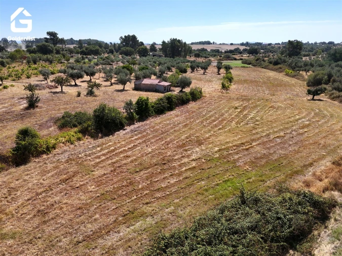 Quinta T0 para Venda em Lardosa Foto 14