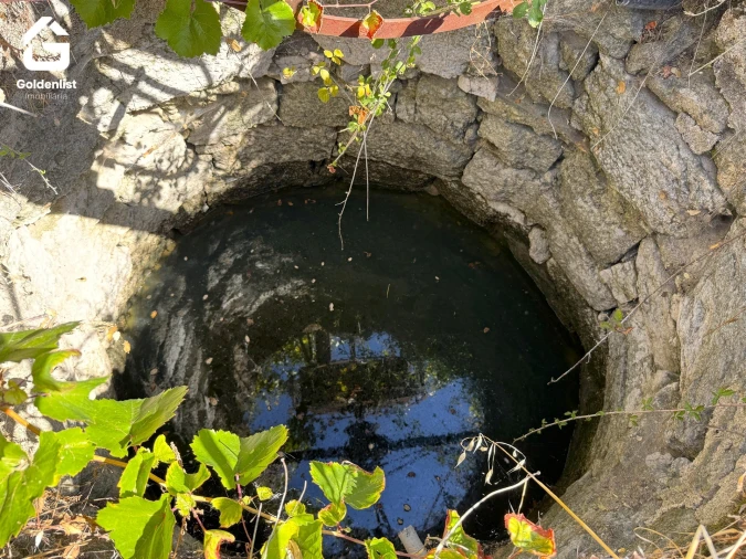 Quinta T0 para Venda em Lardosa Foto 30