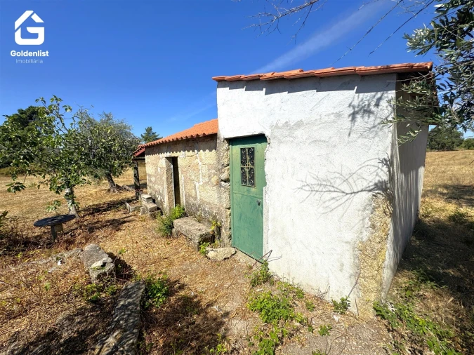 Quinta T0 para Venda em Lardosa Foto 36