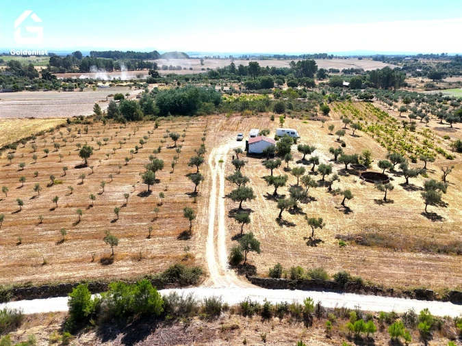 Quinta T0 para Venda em Lardosa Foto 7
