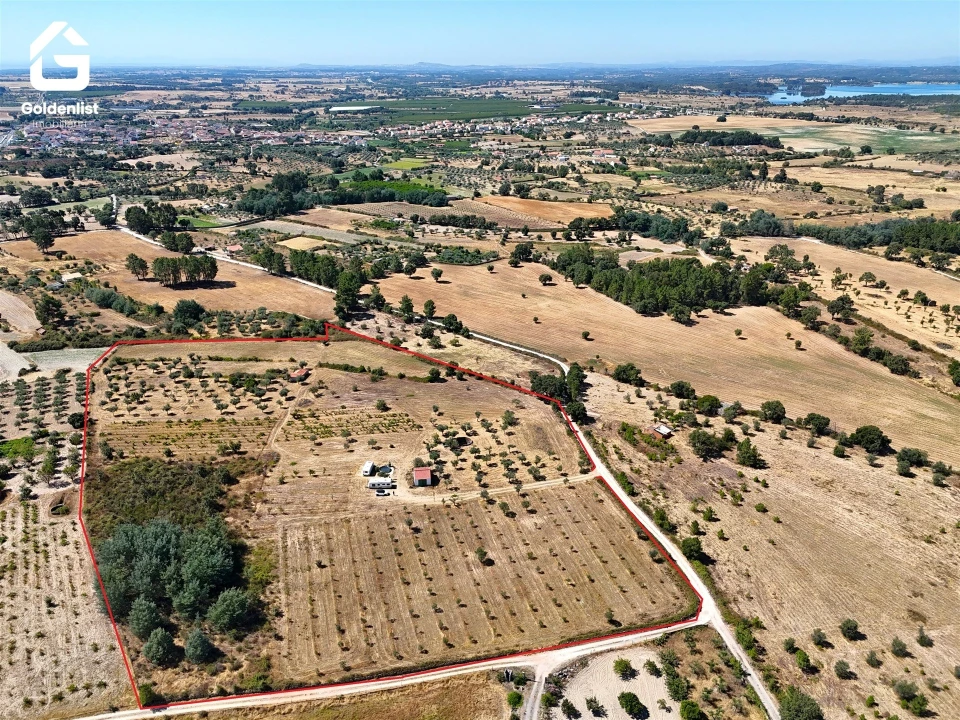 Quinta T0 para Venda em Lardosa Foto 4