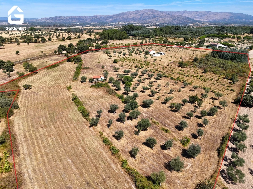 Quinta T0 para Venda em Lardosa Foto 32