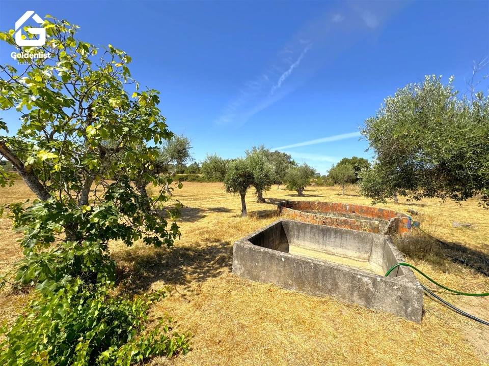 Quinta T0 para Venda em Lardosa Foto 53