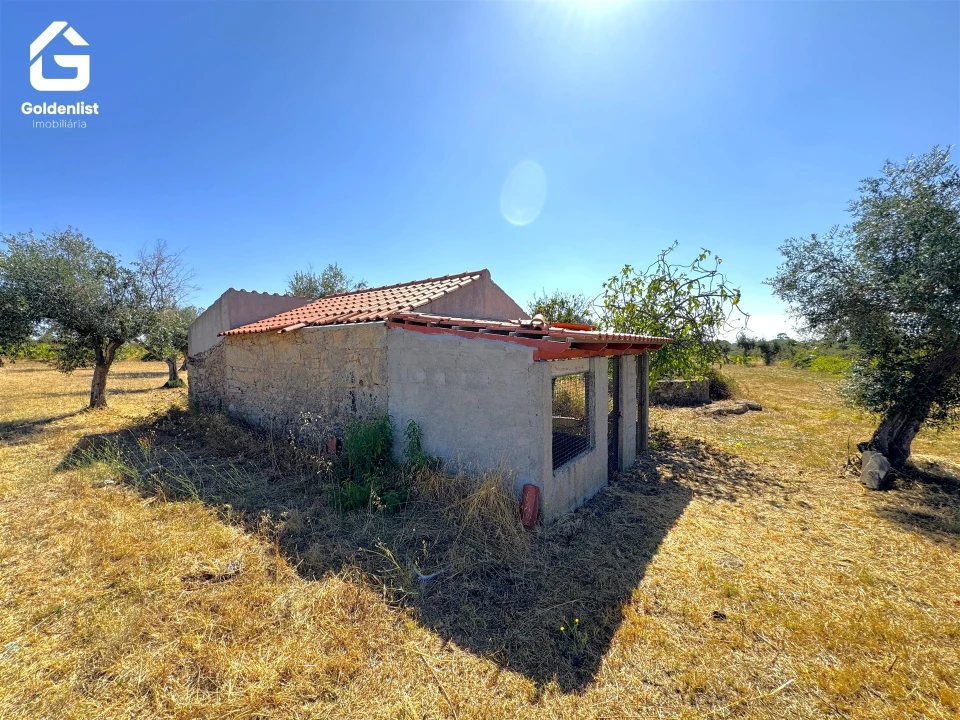 Quinta T0 para Venda em Lardosa Foto 35