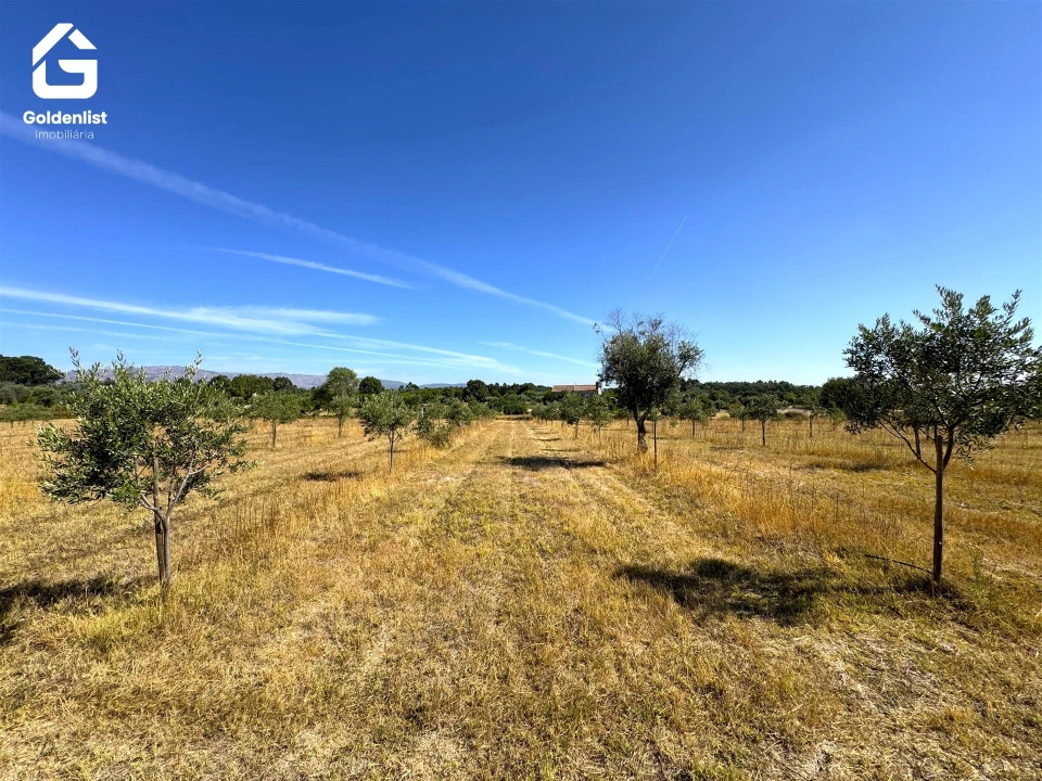 Quinta T0 para Venda em Lardosa Foto 23