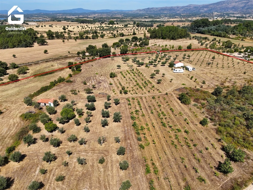 Quinta T0 para Venda em Lardosa Foto 16