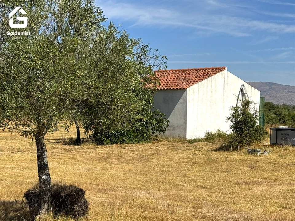 Quinta T0 para Venda em Lardosa Foto 51