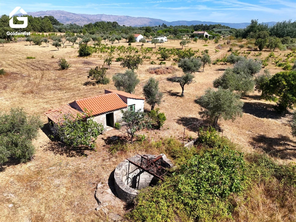 Quinta T0 para Venda em Lardosa Foto 9