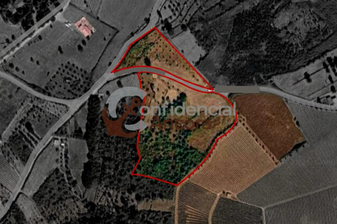 Quinta T0 para Venda em São Paio Foto 52