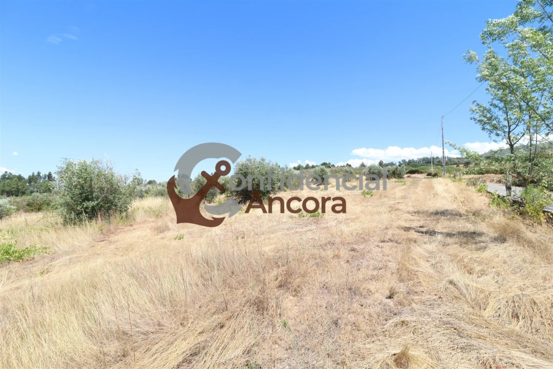 Quinta T0 para Venda em São Paio Foto 19