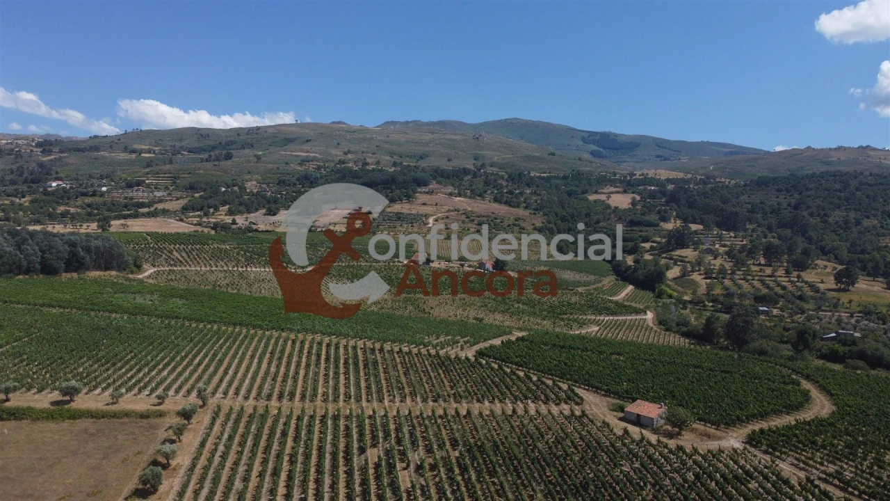 Quinta T0 para Venda em São Paio Foto 35