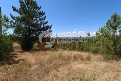 Quinta T0 para Venda em São Paio