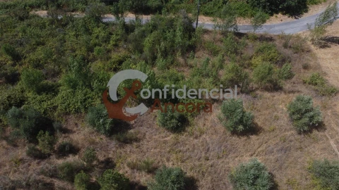 Quinta T0 para Venda em São Paio