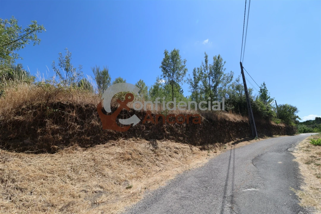 Quinta T0 para Venda em São Paio Foto 24