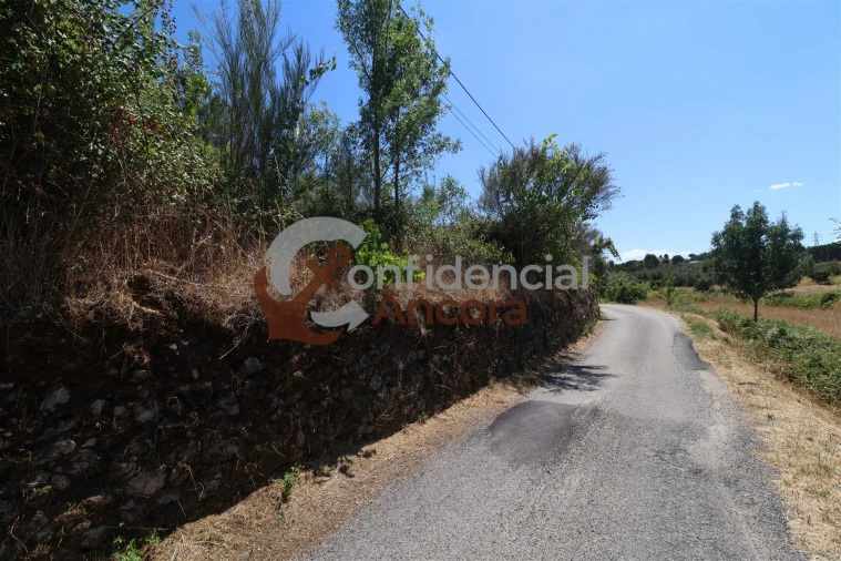 Quinta T0 para Venda em São Paio Foto 25