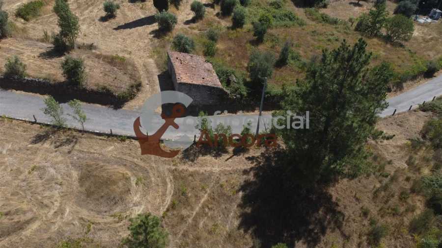 Quinta T0 para Venda em São Paio Foto 44