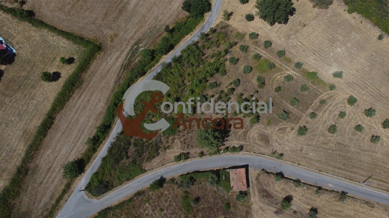 Quinta T0 para Venda em São Paio Foto 32
