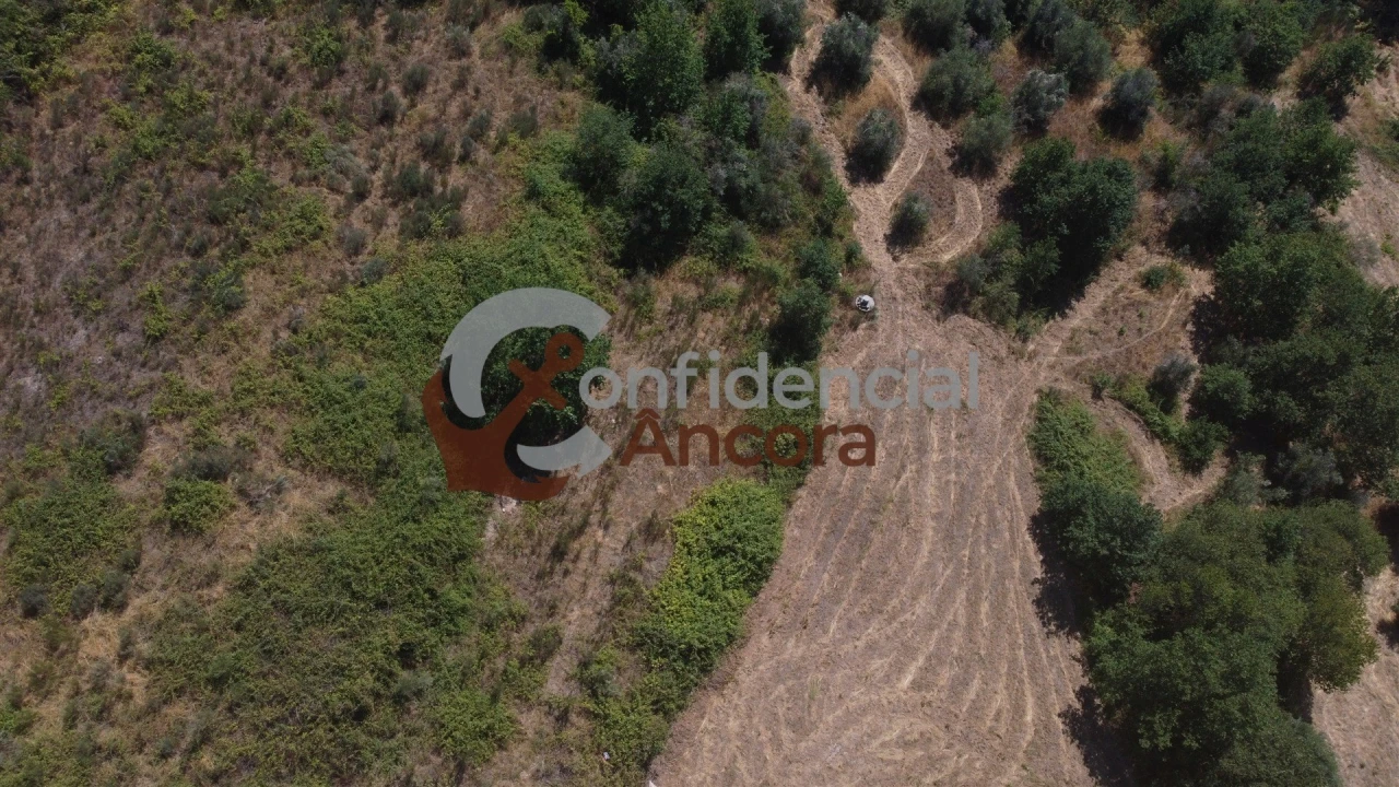 Quinta T0 para Venda em São Paio Foto 36