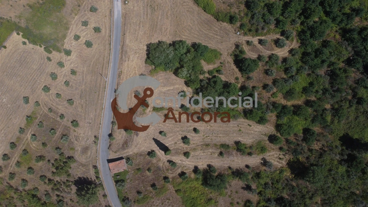 Quinta T0 para Venda em São Paio Foto 33
