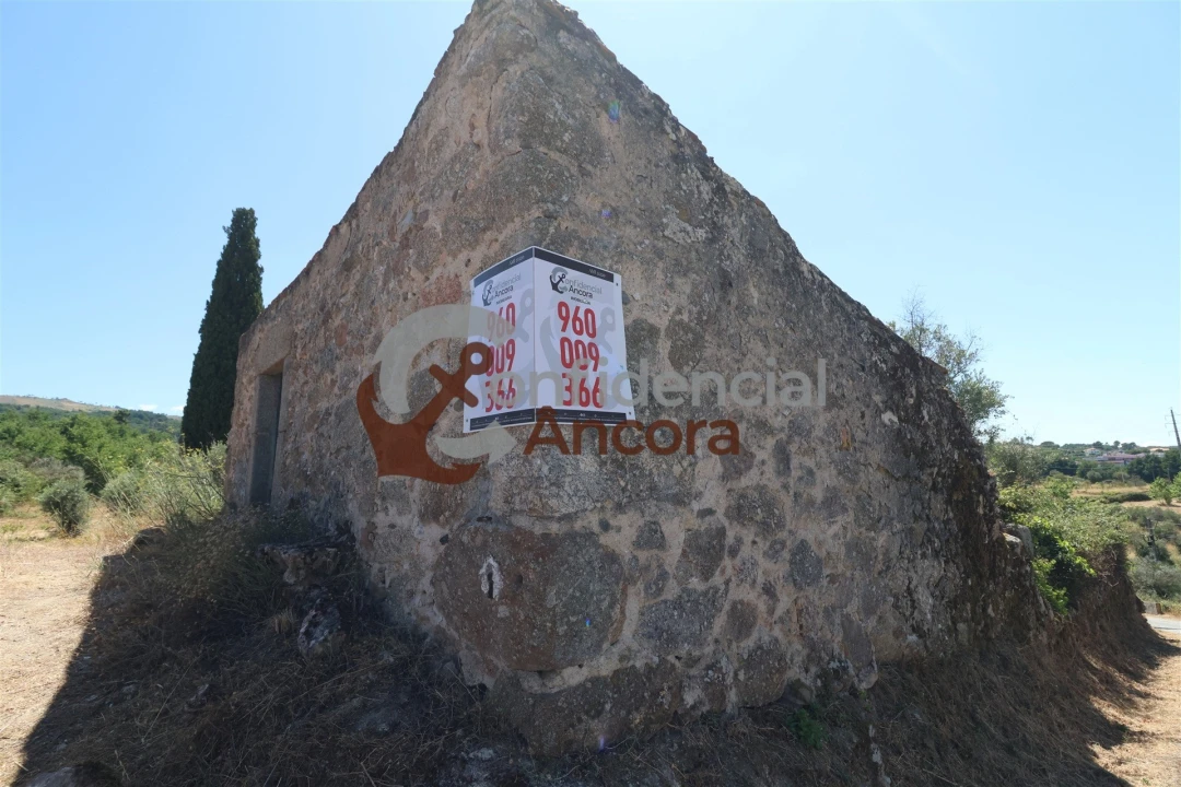 Quinta T0 para Venda em São Paio Foto 17