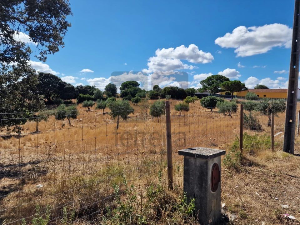 Moradia T3 para Venda em Azoia de Cima e Tremês Foto 17