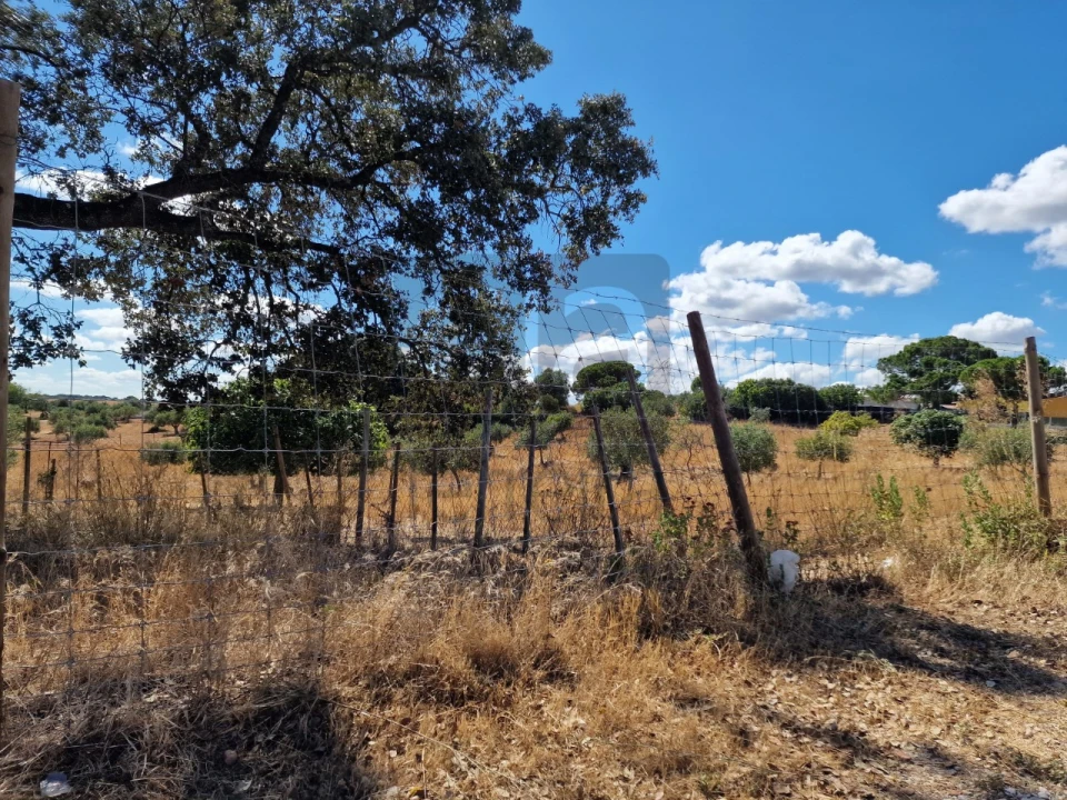Moradia T3 para Venda em Azoia de Cima e Tremês Foto 23