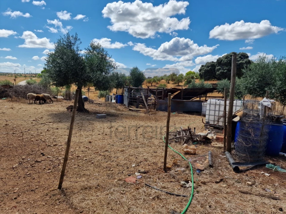 Moradia T3 para Venda em Azoia de Cima e Tremês Foto 25
