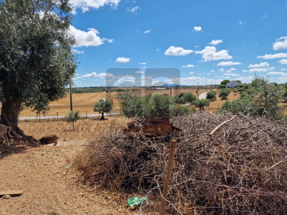 Moradia T3 para Venda em Azoia de Cima e Tremês Foto 29