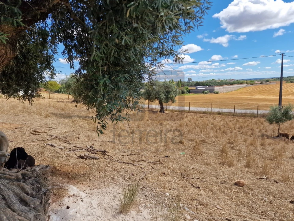 Moradia T3 para Venda em Azoia de Cima e Tremês Foto 30