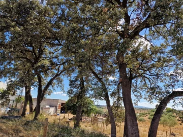 Moradia T3 para Venda em Azoia de Cima e Tremês