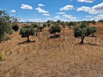 Moradia T3 para Venda em Azoia de Cima e Tremês