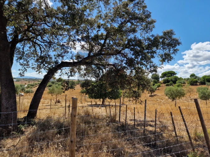 Moradia T3 para Venda em Azoia de Cima e Tremês Foto 22