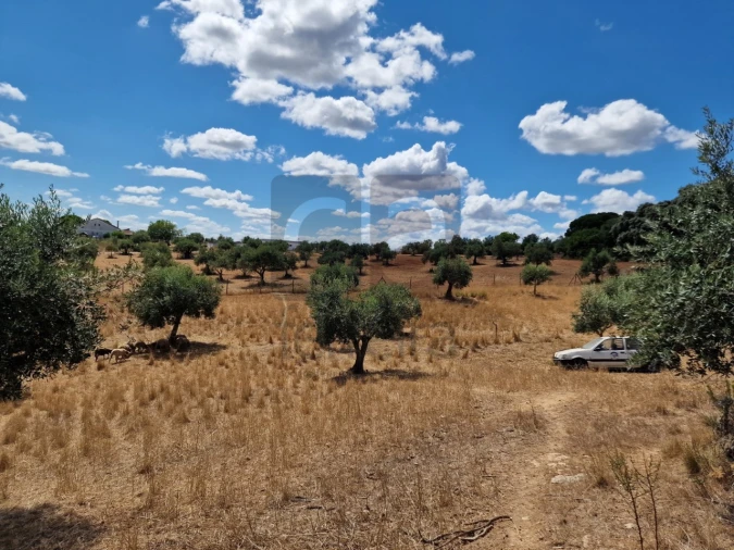 Moradia T3 para Venda em Azoia de Cima e Tremês Foto 32