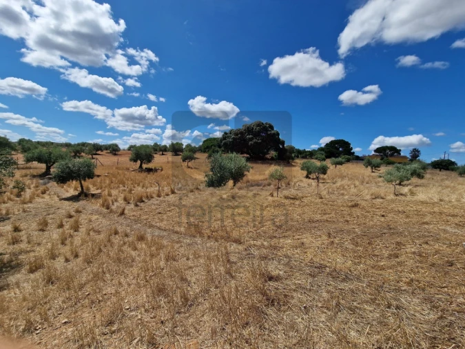 Moradia T3 para Venda em Azoia de Cima e Tremês Foto 35