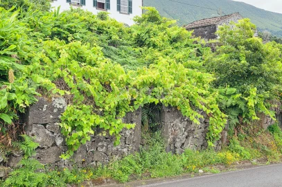 Moradia T1 para Venda em São Roque do Pico