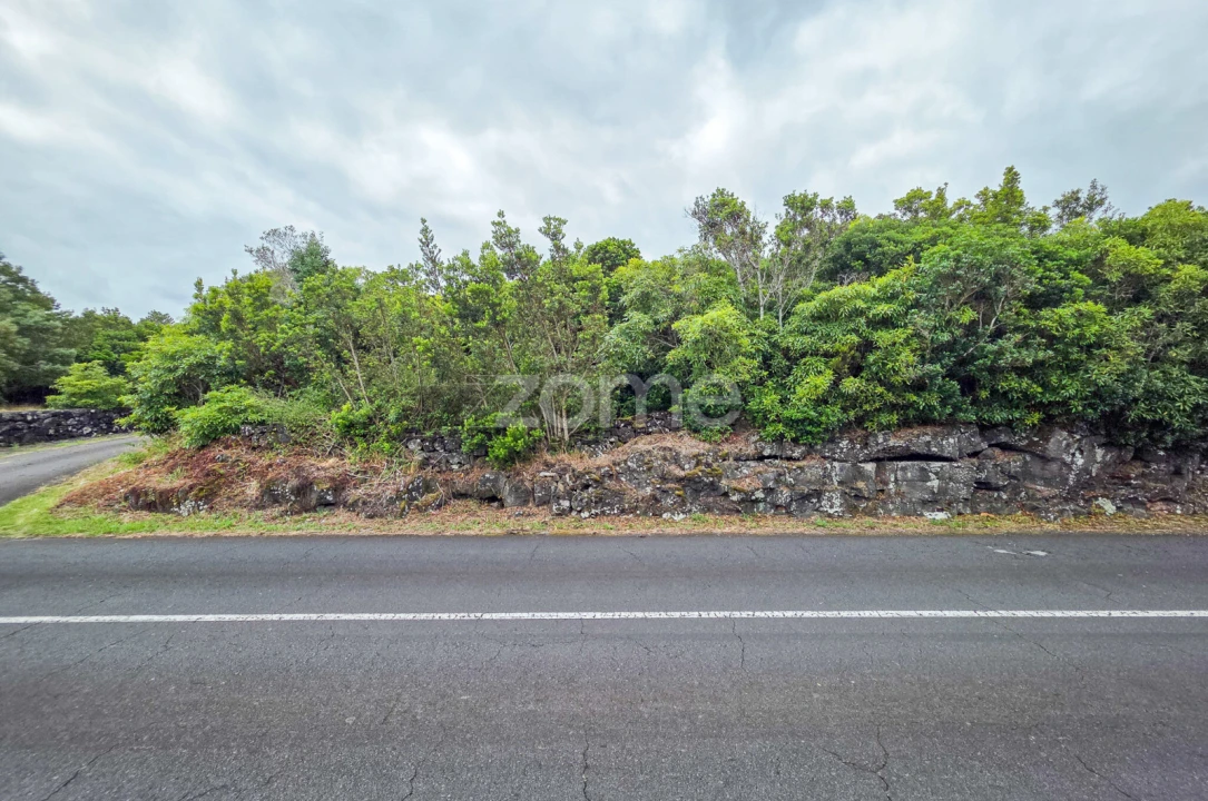 Terreno para Venda em Santo Antonio Foto 4